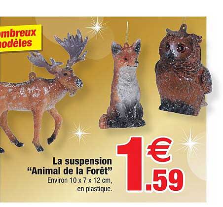 Lot De 6 Glands Plats En Acrylique Animaux De La Forêt – Décoration Noël Rustique (7 Cm, Motifs écureuil, Renard, Hibou Etc.)