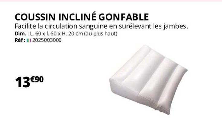 Matelas Gonflable Pour Voiture Avec Coussin D'inclinaison - PVC Résistant, Supporte 200kg, Pour Siège Arrière
