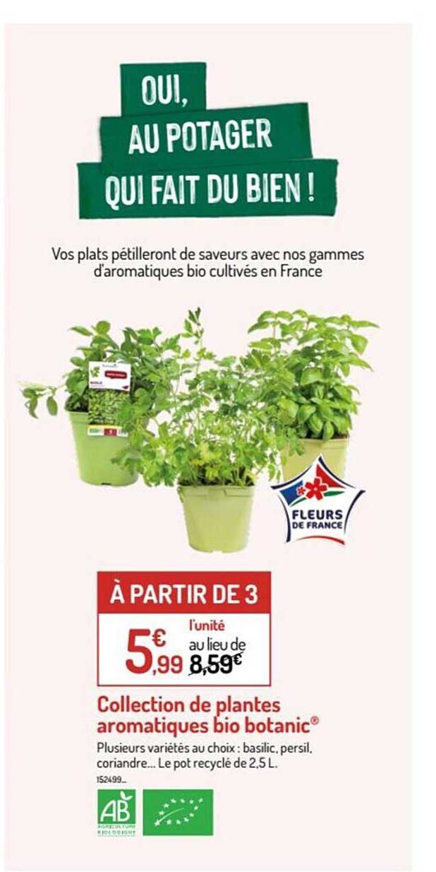 Offre Collection De Plantes Aromantiques Bio Botanic chez Botanic
