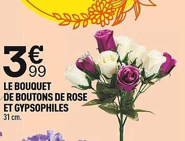 2 Pièces De Pâtisseries Sons De Boutons De Rose - Tailles 4 Mm Et 7 Mm - Usage Urétral - Neuf
