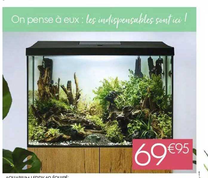 Aquarium Truffaut Promo