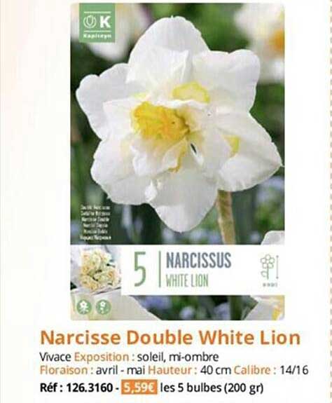 Offre Narcisse Double White Lion chez Magellan