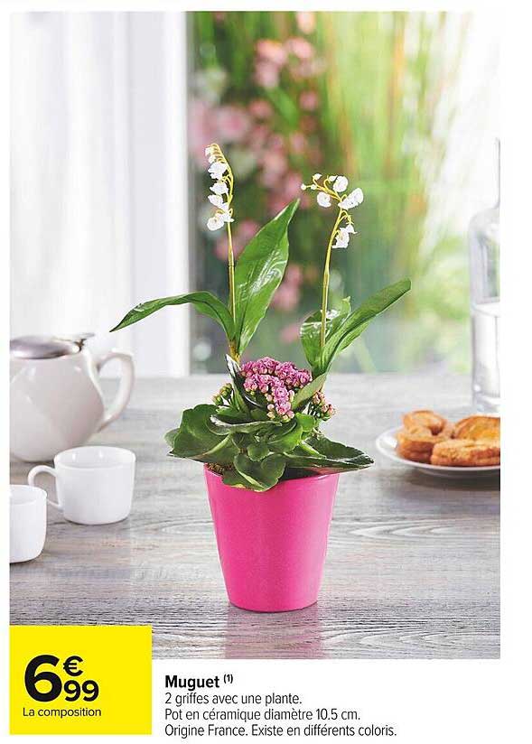 Muguet Lidl 2023