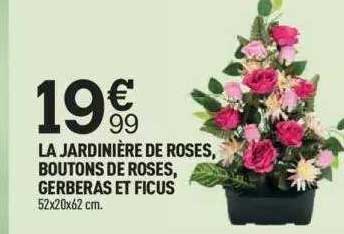 Centrakor La Jardinière De Roses, Boutons De Roses, Gerberas Et Ficus
