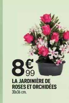 Centrakor La Jardinière De Roses Et Orchidées