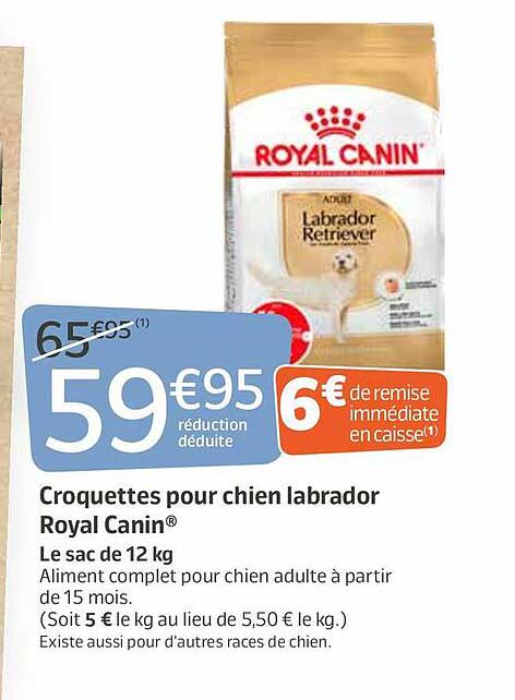 Offre Croquettes Pour Chien Labrador Royal Canin® chez Jardiland