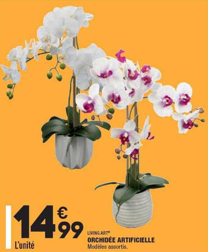 Offre Orchidée Artificielle Living Art chez Aldi