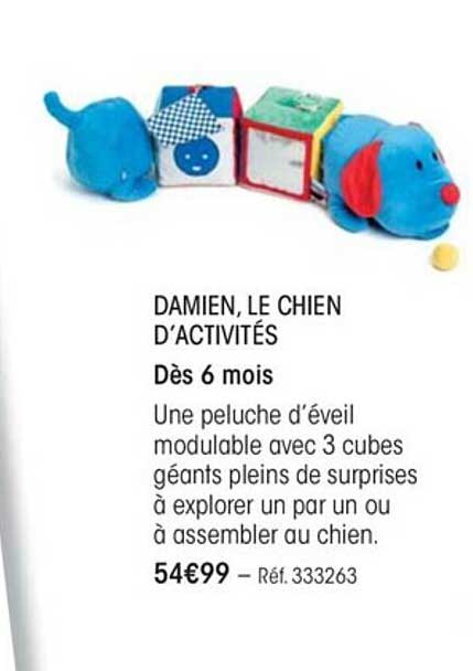 Offre Damien, Le Chien Du0027activités chez Oxybul