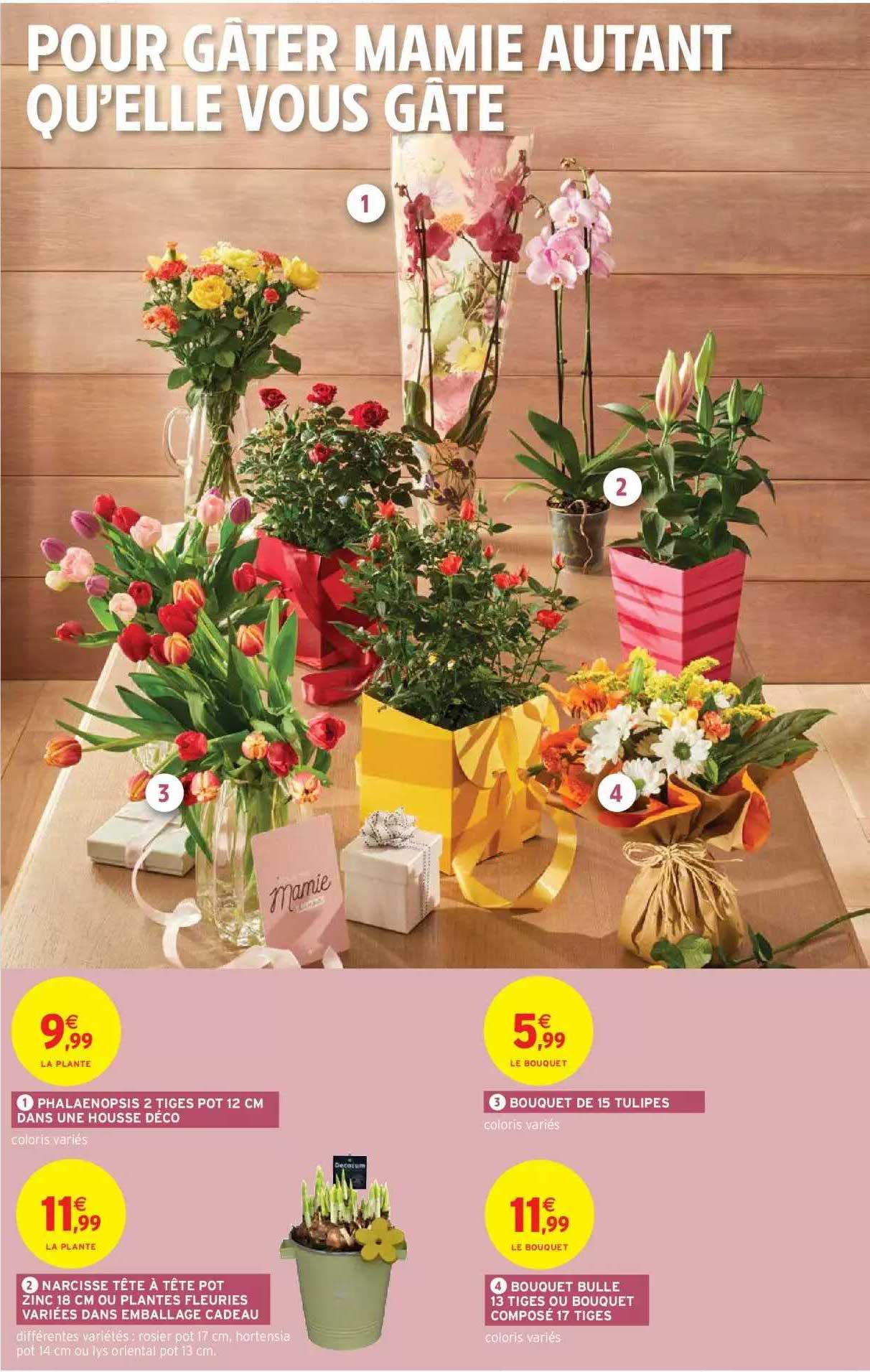 Offre Phalaenopsis 2 Tiges Pot 12 Cm Dans Une Housse Déco, Bouquet De 15  Tulipes, Narcisse Tête à Tête Pot Zinc 18 Cm Ou Plantes Fleuries Variées  Dans Emballage Cadeau, Bouquet Bulle