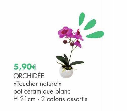 Pot à Orchidées En Céramique Blanche – 17 Cm Haut – Design Conique élégant – Pour Intérieur, Idée Cadeau