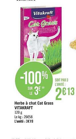 Offre Herbe A Chat Cat Grass Vitakraft 100 Sur Le 3e Chez Casino Supermarches