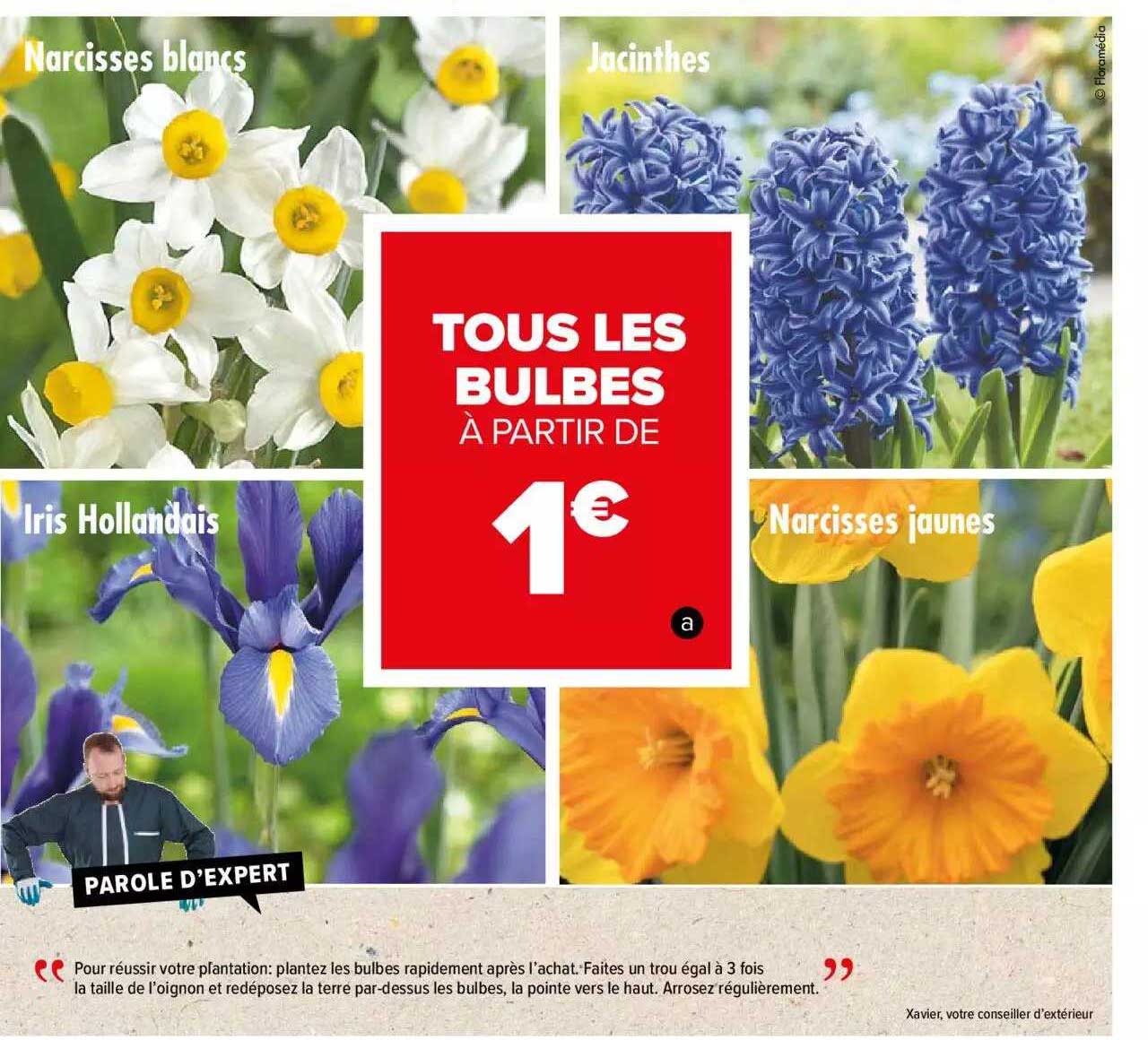 Offre Narcisses Blancs, Jacinthes, Iris Hollandais, Narcisses Jaunes chez  Carrefour Market