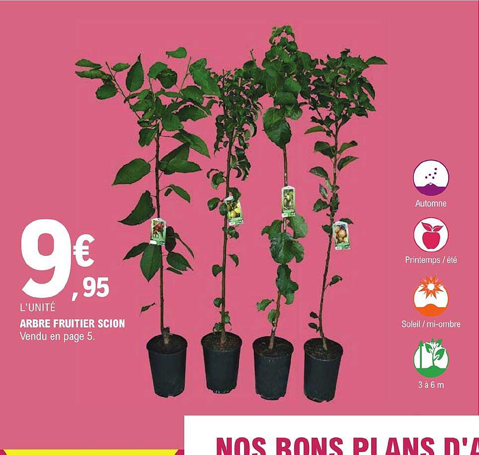 Sitemapcdatahttpsshopinf Inetcomarbre Fruitier 10 Lettres