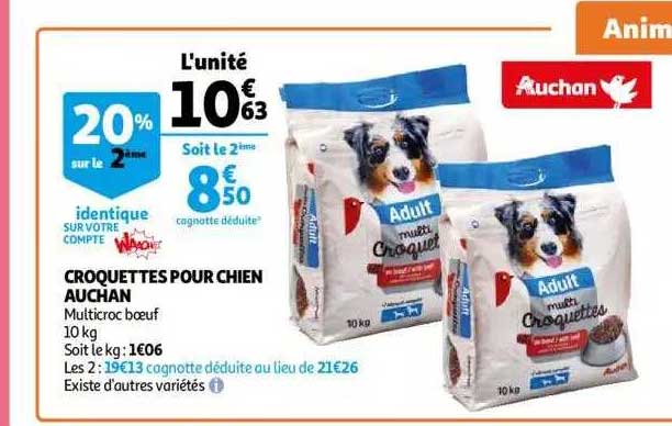 Promo Croquettes Pour Chien Auchan chez Auchan - iCatalogue.fr