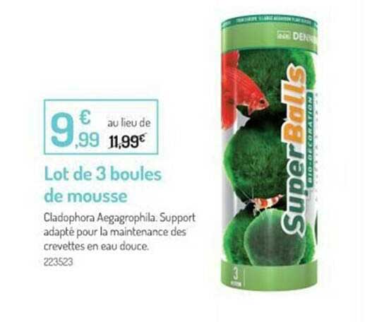 Lot De 3 Boules De Mousse à Fleurs (oasis) Vertes - 9x9x9 Cm - Pour Compositions Florales Fraîches Ou Séchées