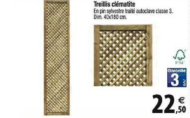 Tridôme Treillis Clématite