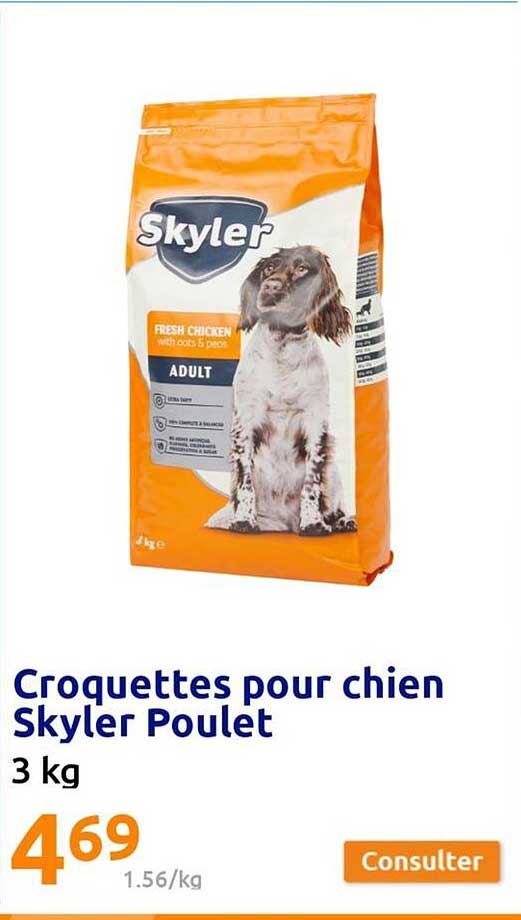 Promo Croquettes Pour Chien Skyler Poulet chez Action iCatalogue.fr