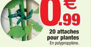 100 Attaches Pour Plantes - Ties Torsadées Vertes 13 Cm, Réglables, Pour Tuteurer Arbres, Fleurs, Arbustes | WUSJCOF