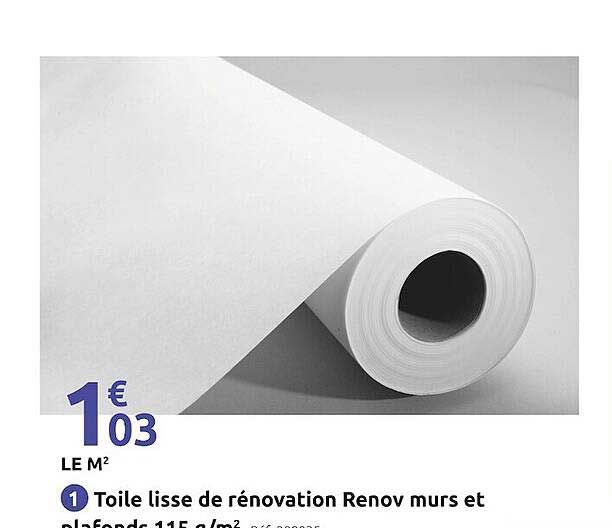 Sitemapcdatahttpapsmixel Thicoipeinforevetement De Renovation Lisse A Peindre 300 G M2