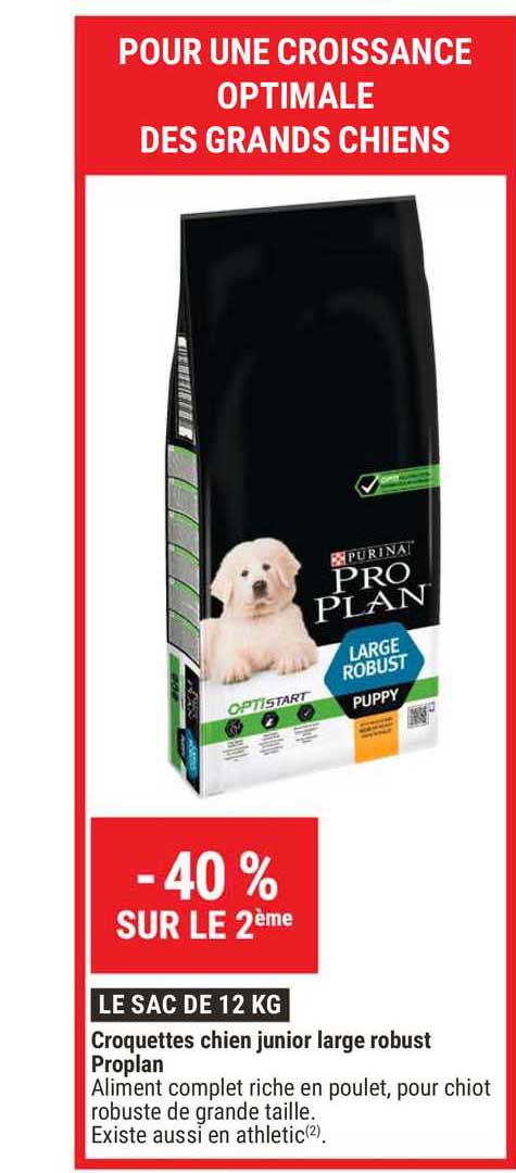 Offre Croquettes Chien Junior Large Robust Proplan chez Gamm vert