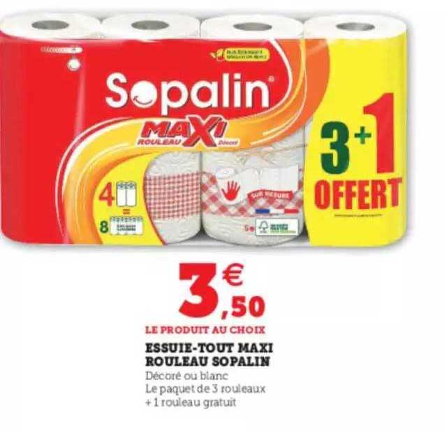 Essuie-tout décoré SOPALIN : le paquet de 2 maxi rouleaux à Prix Carrefour