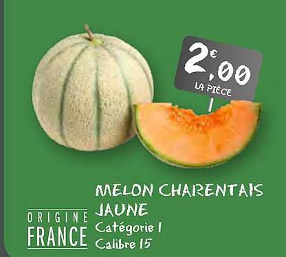 charentais melon g20