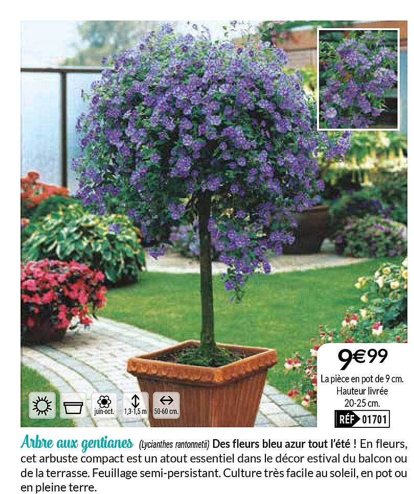 Offre Arbre A Chat Chez Lidl