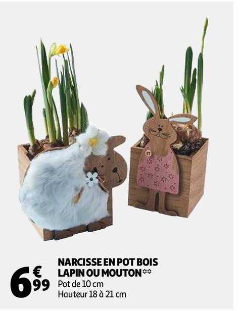 Offre Narcisse En Pot Bois Lapin Ou Mouton chez Auchan