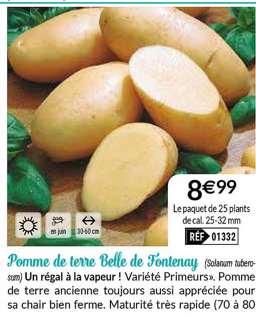 Offre Pomme De Terre Belle De Fontenay chez Willemse Offre Pomme De Terre Belle De Fontenay chez Willemse