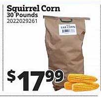 Rural King Squirrel Corn
