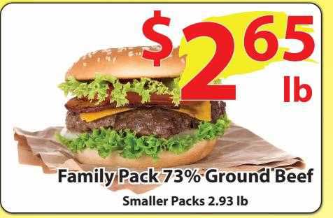 Wholesale Food Outlet Family Pack 73% Ground Beef
