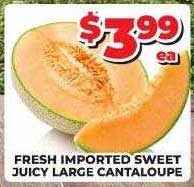Price Cutter Fresh Imported Sweet Juicy Large Cantaloupe