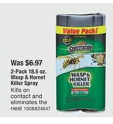 The Home Depot Wasp & Hornet Killer Spray