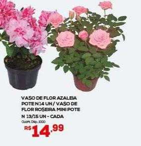 Oferta Vaso De Flor Azaleia Vaso De Flor Roseira Mini na Bistek  Supermercados