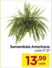 Carrefour Samambaia Americana