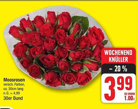 Moosrosen 30er Bund