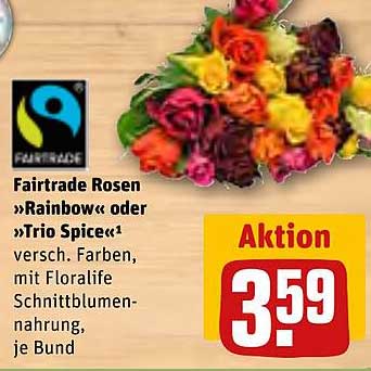 Fairtrade Rosen »Rainbow« oder »Trio Spice«