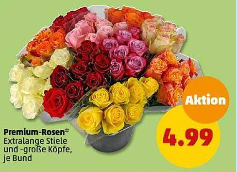 Premium-Rosen*