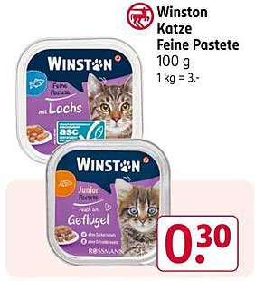 Winston Katze Feine Pastete