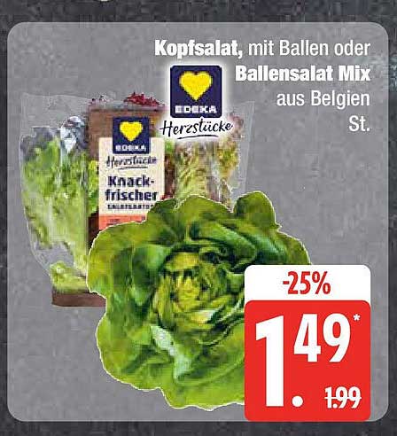 Kopfsalat, mit Ballen oder Ballensalat Mix aus Belgien