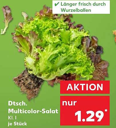 Dtsch. Multicolor-Salat