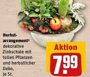 Herbstarrangement dekorative Zinkschale mit tollen Pflanzen und herbstlicher Deko