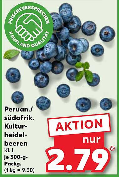 Peruan./südafrik. Kulturheidelbeeren