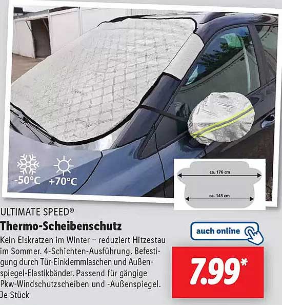 Thermo-Scheibenschutz