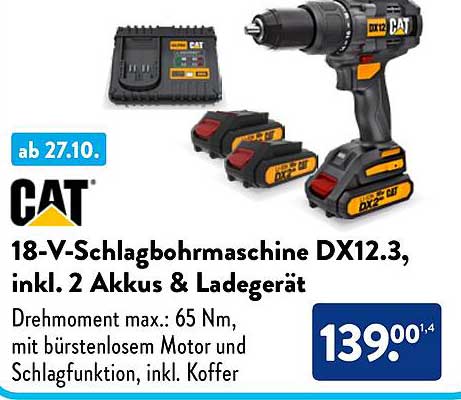 18-V-Schlagbohrmaschine DX12.3, inkl. 2 Akkus & Ladegerät