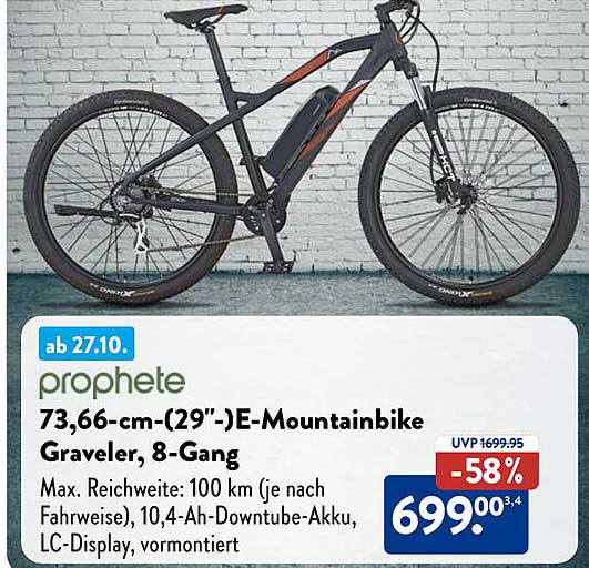 prophete 73,66-cm-(29"-)E-Mountainbike Graveler, 8-Gang